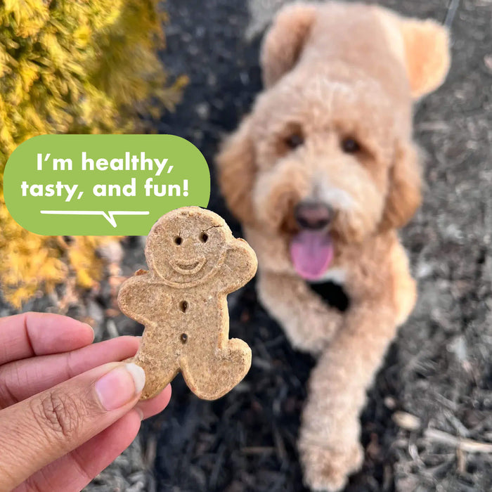 Cloud Star Buddy Biscuits Oven Baked Roasted Chicken Dog Treats