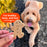 Cloud Star Buddy Biscuits Oven Baked Peanut Butter Crunchy Dog Treats