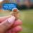 Cloud Star Buddy Biscuits Soft and Chewy Bacon and Cheese Dog Treats, 6oz