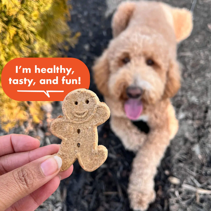 Cloud Star Buddy Biscuits Grain Free Oven Baked Dog Treats, Peanut Butter, 14oz