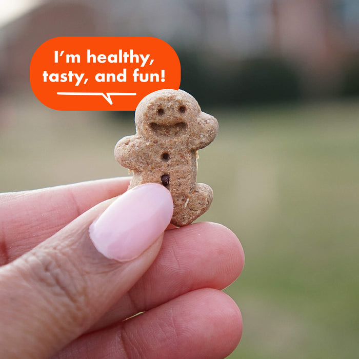 Cloud Star Buddy Biscuits Grain Free Soft and Chewy Peanut Butter Dog Treats, 5oz