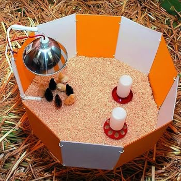 Farm Innovators Baby Chick Starter Home