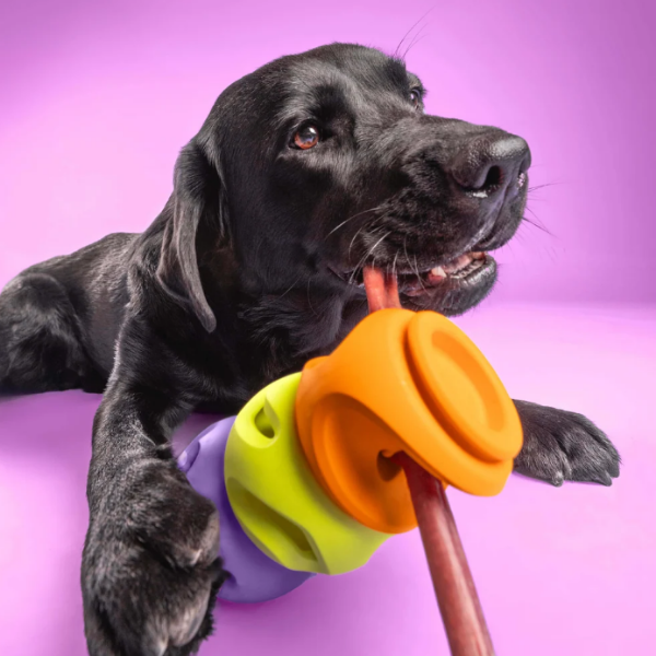 WAGLAB Play Stack Interactive Dog Toy The Bully