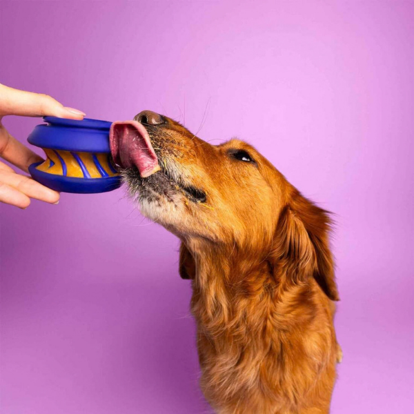 WAGLAB Play Stack Interactive Dog Toy The Slobber