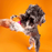 WAGLAB Play Stack Interactive Dog Toy The Spinner