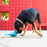 KONG Rewards Tipsy Dog Toy & Treat Dispenser, Large