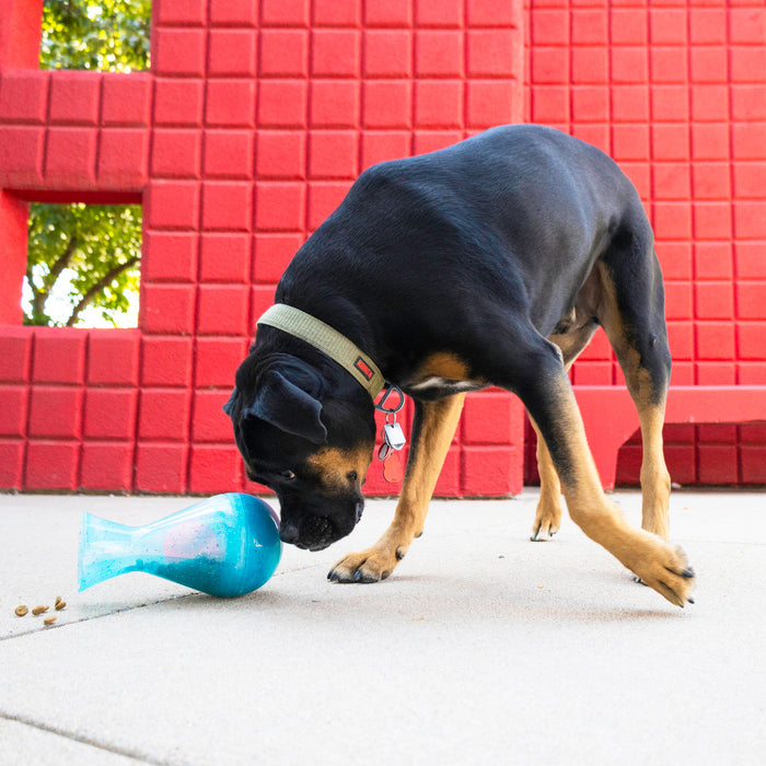 KONG Rewards Tipsy Dog Toy & Treat Dispenser, Large
