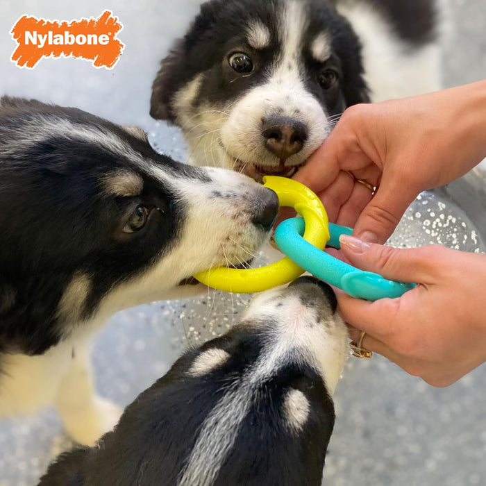 Nylabone Power Play Puppy Tug-a-Ball Dog Toy