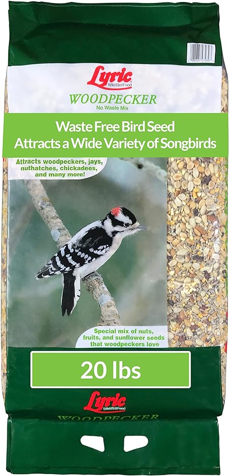 Lyric Woodpecker Food