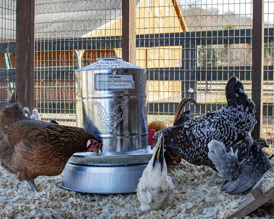 Heated Base for Poultry Waterer