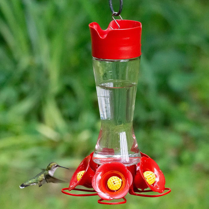 Favored Pinch-Waist Glass Hummingbird Feeder, 16 oz Capacity