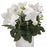 Balloon Flower, Astra White Balloon Flower