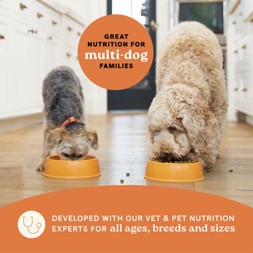 dog food