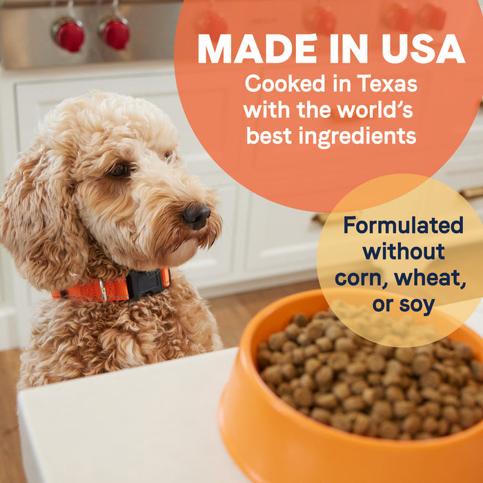 dog food