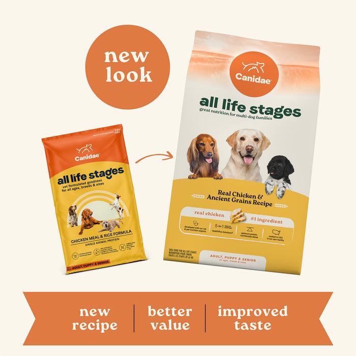 dog food