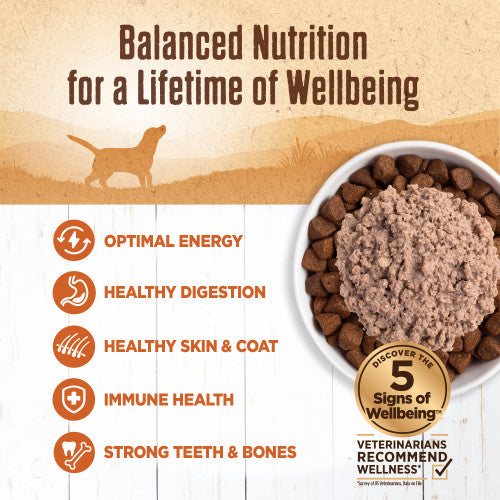Wellness Natural Grain Free Adult 95% Turkey Canned Dog Food