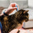 Wondercide Flea & Tick Spot On for Dogs + Cats with Natural Essential Oils
