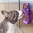 KONG Licks Kitty Interactive Feeder for Cats, Small