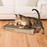 KONG Naturals Cat Scratcher Double