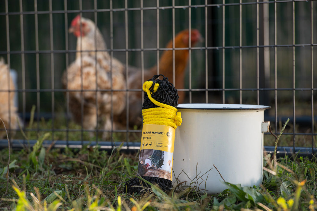Busy Bag - Chicken Feeder