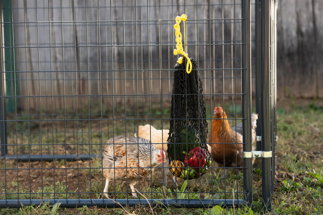 Busy Bag - Chicken Feeder