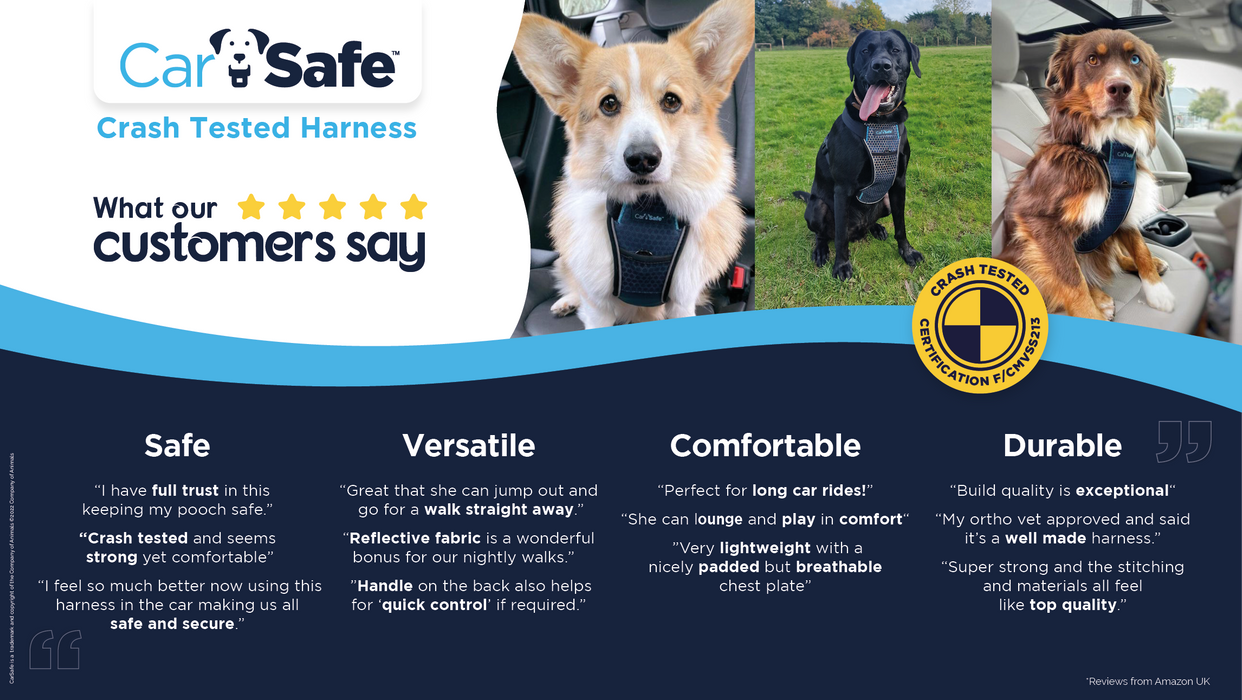Carsafe Crash Tested Dog Harness