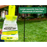 Rescue Japanese & Oriental Beetle Trap