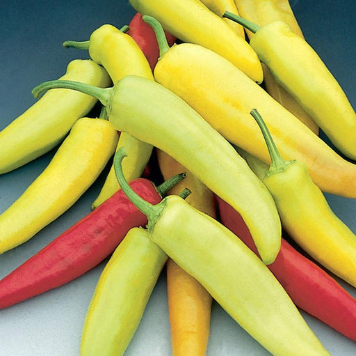 Pepper, Hot Banana Hot Pepper