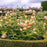 Rose, Roald Dahl Rose