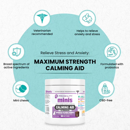 Nootie Mini Progility Calming Aid Soft Chew Supplements, 60 count