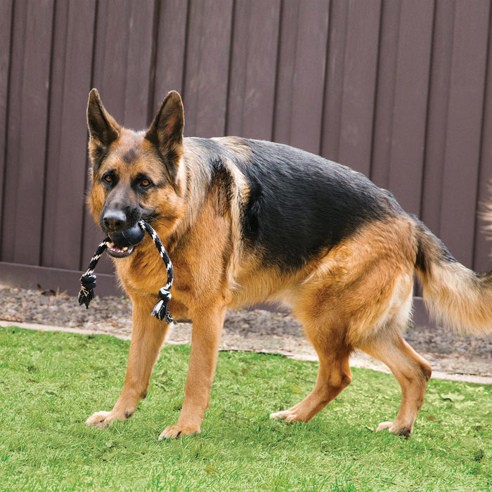 KONG Extreme Ball with Rope, Large Dog Toy