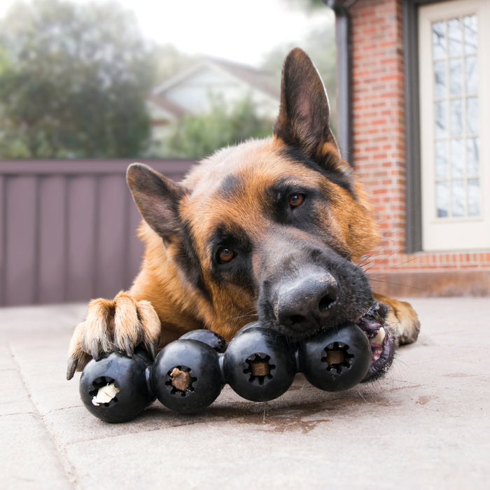 KONG Extreme Goodie Ribbon, Large Dog Toy