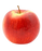 Apple, Empire, 7 gal (5-7 ft)