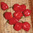 Pepper, Red Habanero Pepper