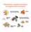 Purina® Farm to Flock™ 18% Layer Hen Food