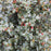 Holly, Red Beauty® Holly