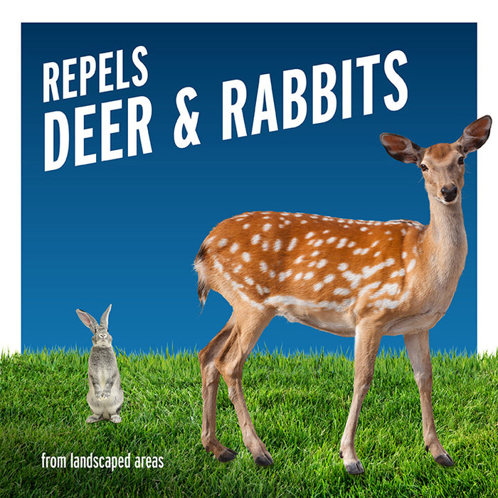 Liquid Fence Deer & Rabbit Repellent Ready to Use Spray