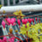 Bleeding Heart, Gold Heart Bleeding Heart