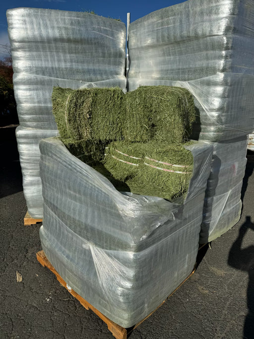 Alfalfa Hay Bale, 40 lbs - TEMPORARILY OUT OF STOCK