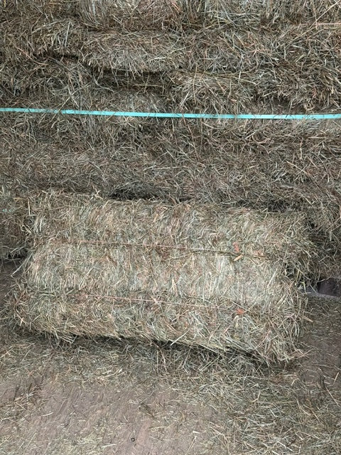 Hay Bale Second Cutting *Temporarily Out of Stock*