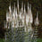 Veronicastrum virginicum  - Culver's Root