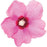 Hibiscus, PW® Lil' Kim® Red Hibiscus