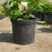 Hydrangea, Endless Summer® The Original Macrophylla Hydrangea