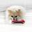 KONG Goodie Bone Dog Toy, Large