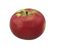Apple, McIntosh, 7 gal. (5-7 ft)