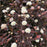Ninebark, Chroma Chameleon™ Ninebark