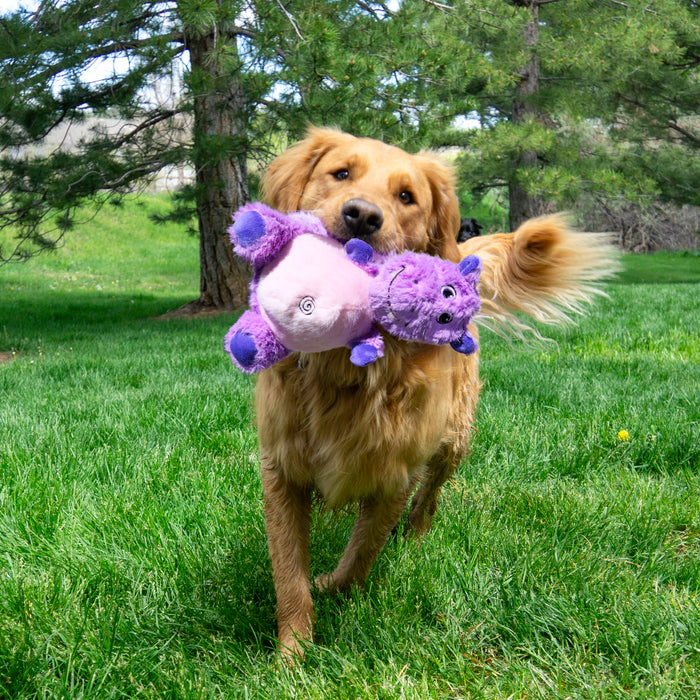 KONG Knots Belly Hippo, Medium/Large Dog Toy
