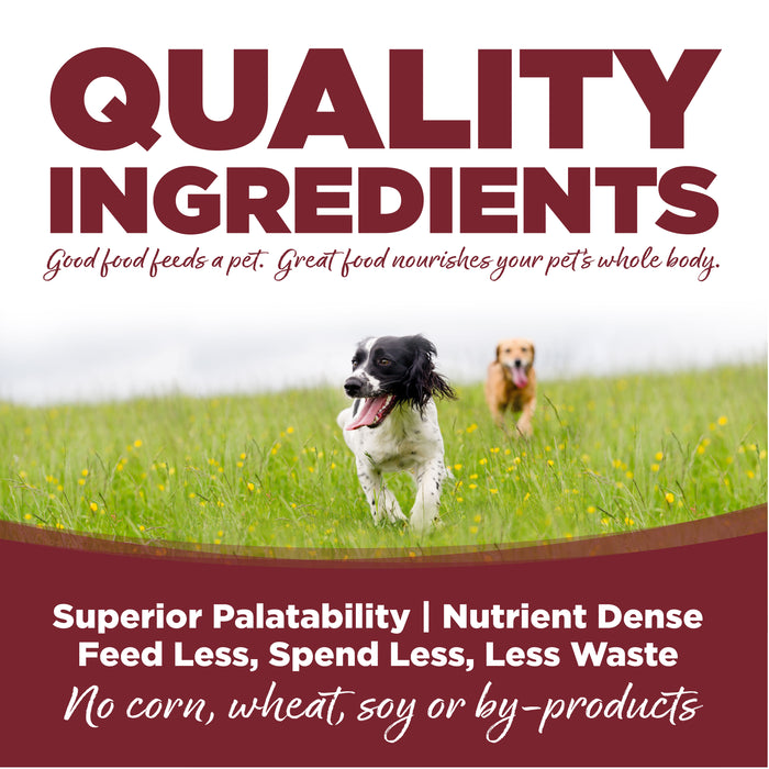 NutriSource Beef & Rice Recipe Healthy Dry Dog Food