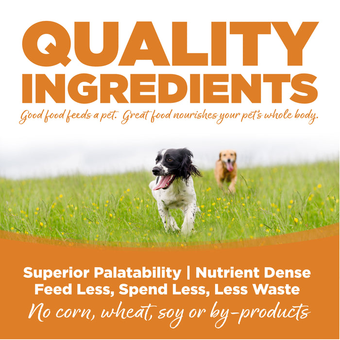 NutriSource Lamb Meal & Rice Recipe Dry Dog Food