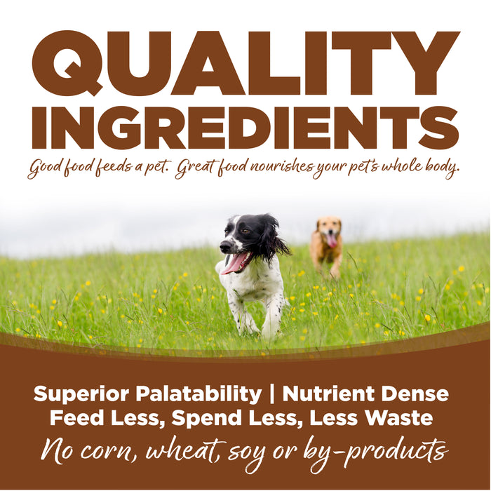 NutriSource Large Breed Adult Lamb and Rice
